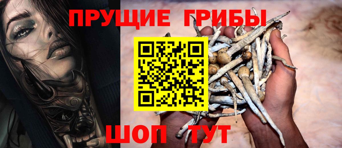 Усолье-Сибирское  Псилоцибиновые грибы Magic Shrooms  Вход с VPN 
