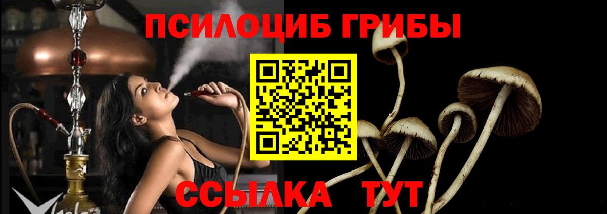 Псилоцибиновые грибы GOLDEN TEACHER Усолье-Сибирское